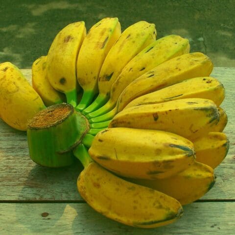 Pisang Kapuk 